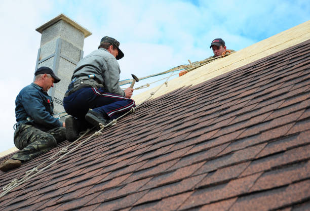 Best Tile Roofing Contractor  in Fayette, IA